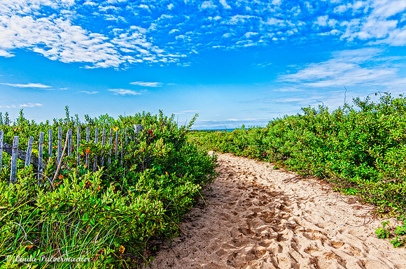 BEACH WALK HERRING COVE
