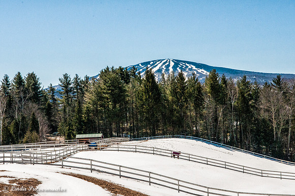 _DSC6274-Stratton Mountain Farm