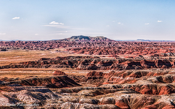 _DSC3192_3_Painted Dessert
