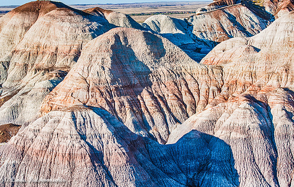 _DSC3300_Petrified Forest