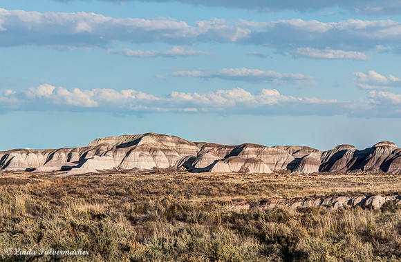 _DSC3355_6-2_6-2Painted Dessert
