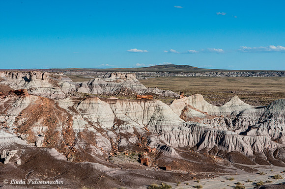 _DSC3255_6_7-2Petrified Forest