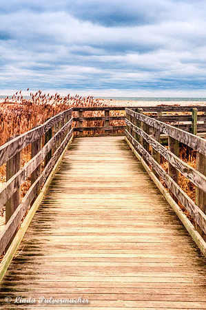 _DSC5972-Fire Island Board Walk