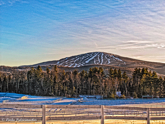 IMG_2306-Stratton Mountain Farm
