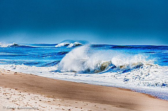 DSC_0526_ Montauk Beach N.Y.
