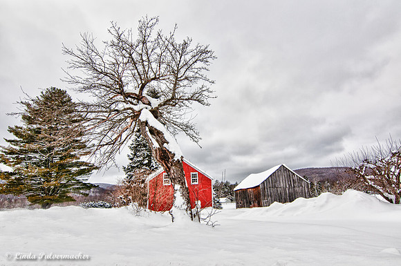 DSC_0057_Kendall Farm Road In Snow