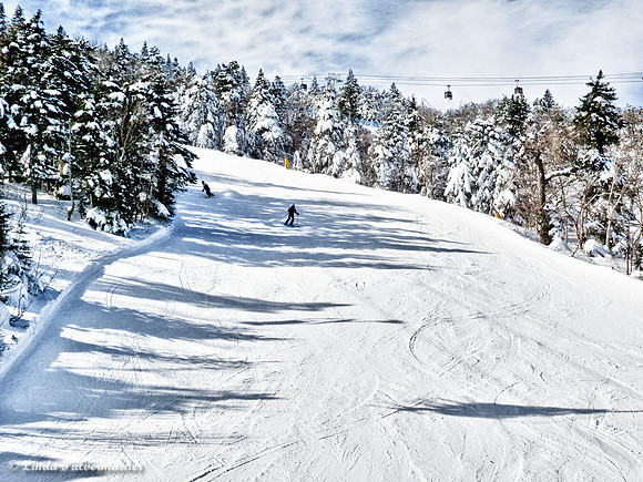 IMG_3273_Tamarac with Snow Boarder