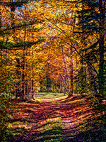 IMG_3087-Vermont Country Road