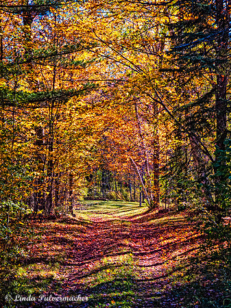 IMG_3087-Vermont Country Road