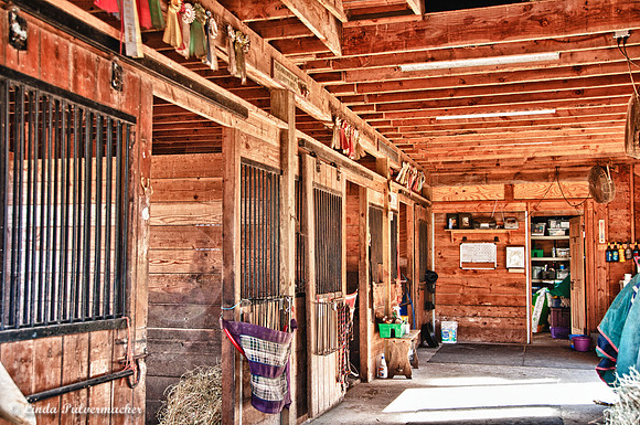 _DSC0369_The Barn