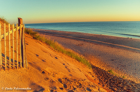 _DSC1351-Beach Walk At Sunrise