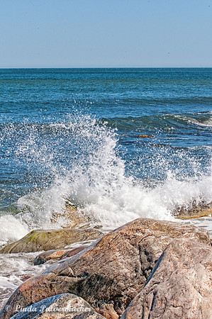 _DSC6394-Splash