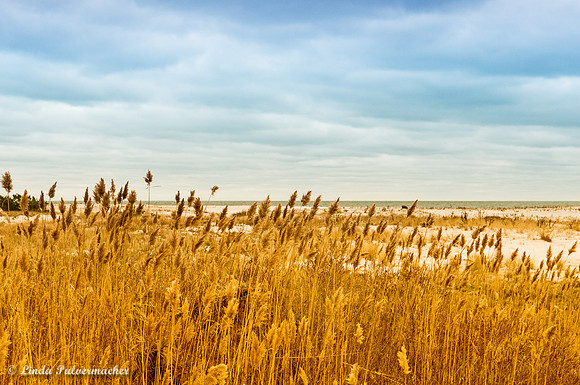 _DSC5976-Swept Away
