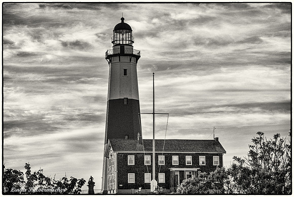 _DSC6729-