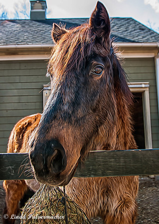 _DSC0315-Eyes Wide Open
