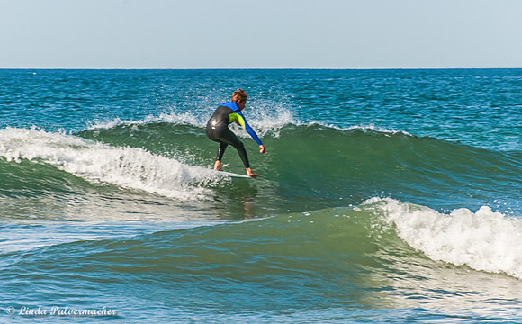 _DSC6875-Hanging Ten
