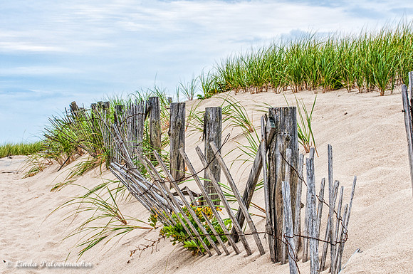 _DSC7095-