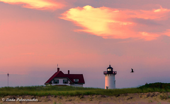 _DSC2438-Race Point From The Beach At Sunset