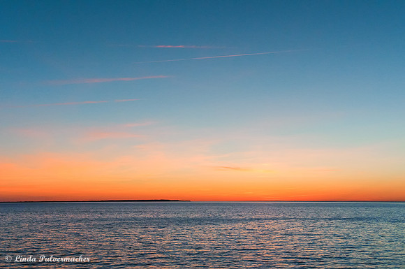 _DSC6546-Almost Gone