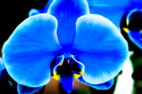 _DSC6184-Edit
