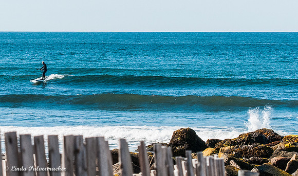 _DSC6771-Out Their