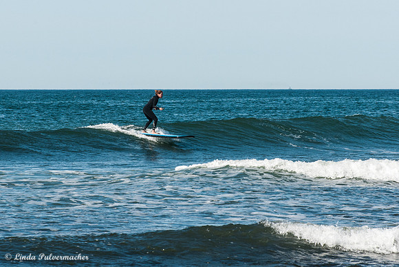_DSC6831Paddle, Paddle