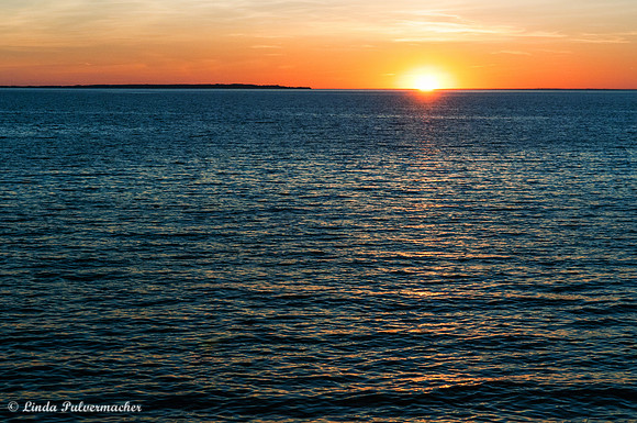 _DSC6503-