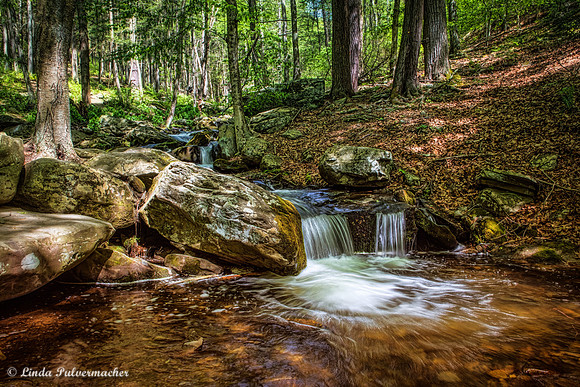 DSC_0115-Bushkill Falls Upper Creek