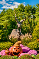 _DSC7599