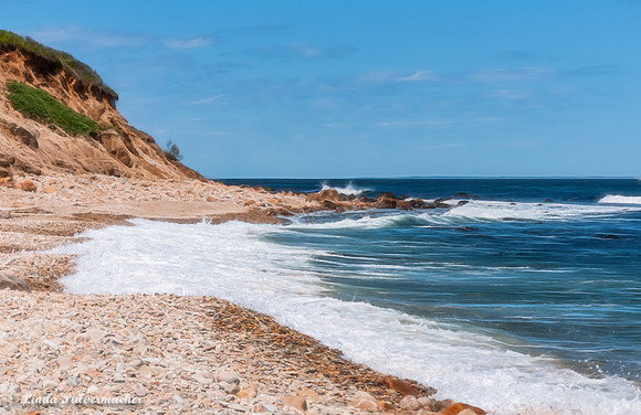 _DSC6423-Shadmor Cove East