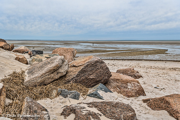 DSC_0434-Coast Guard Beach