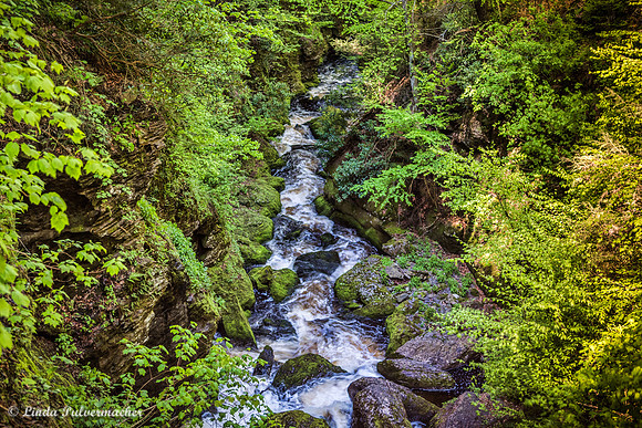 DSC_0097-Raveen