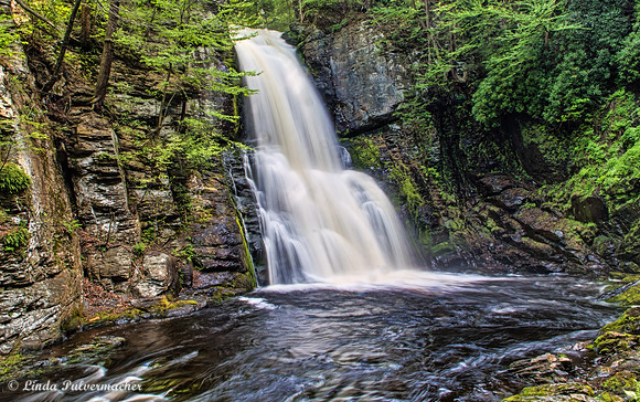 DSC_0073-Bushkill Falls