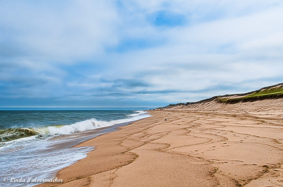 _DSC7407-Off Roading