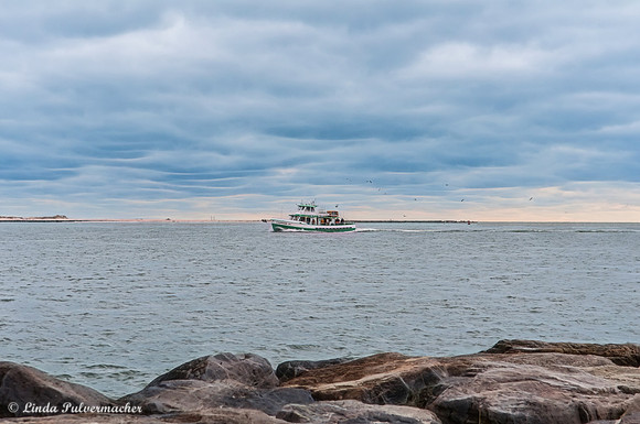_DSC5992-Return Trip Fishing