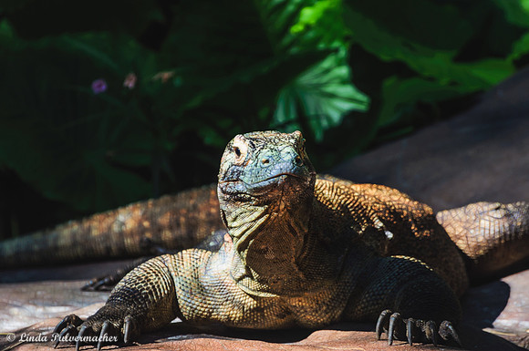 DSC_0196-2-Eye To Eye