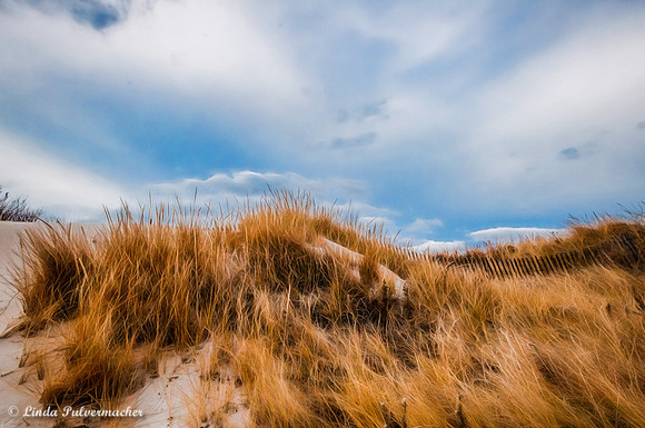 _DSC5952-Walking Over The Dunes