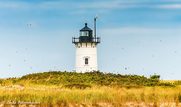 _DSC7346-Little Light