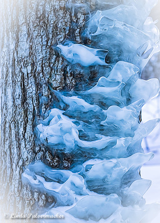 P2260275-