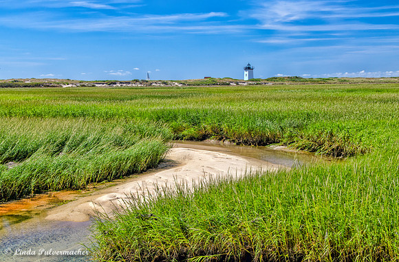 DSC_1849-Long Point Lighthouse