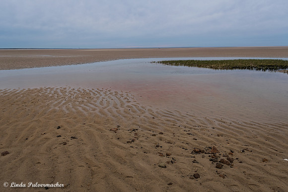 DSC_0458-A Little Algae In The Beach Pool