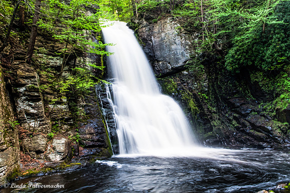 DSC_0077-Bushkill falls 2