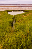 DSC_0414-Hidden Pool In The Grass