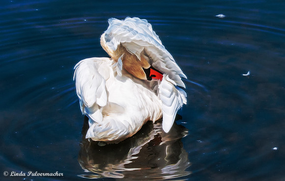 _DSC2011-Wake Me For Lunch