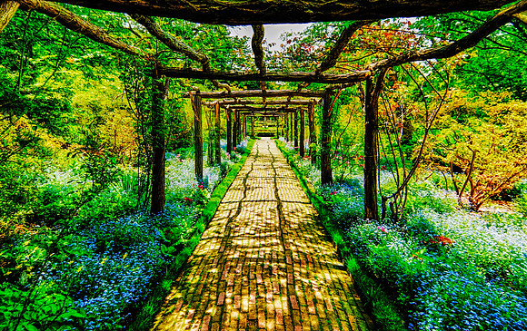 DSC_0221_Westbury garden