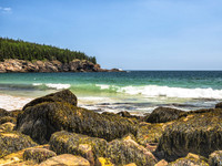 P6060631-Sand Beach Acadia
