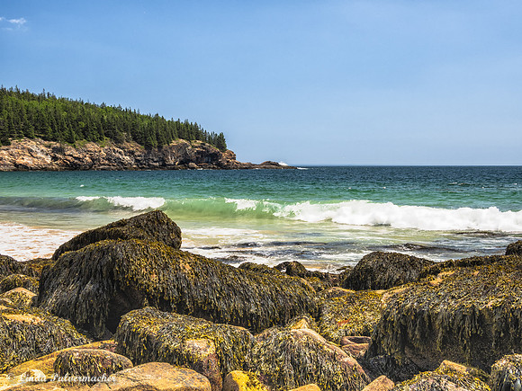 P6060631-Sand Beach Acadia
