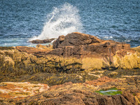 P6060659-Thunder Hole Cliffs