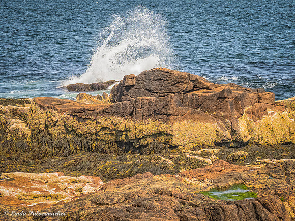 P6060659-Thunder Hole Cliffs