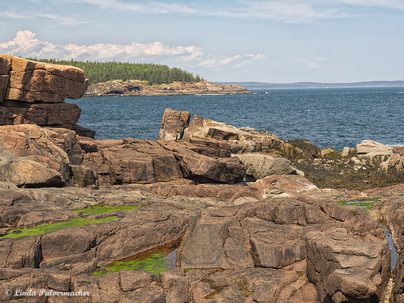 P6060693-Acadia Cliffs